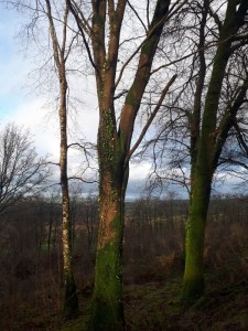 IMG-20180127-WA0001-600x800