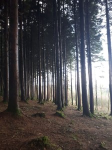 IMG-20180127-WA0002-600x800