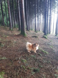 IMG-20180127-WA0003-600x800