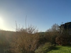 coffee and scribbles in sunny Inniscarra